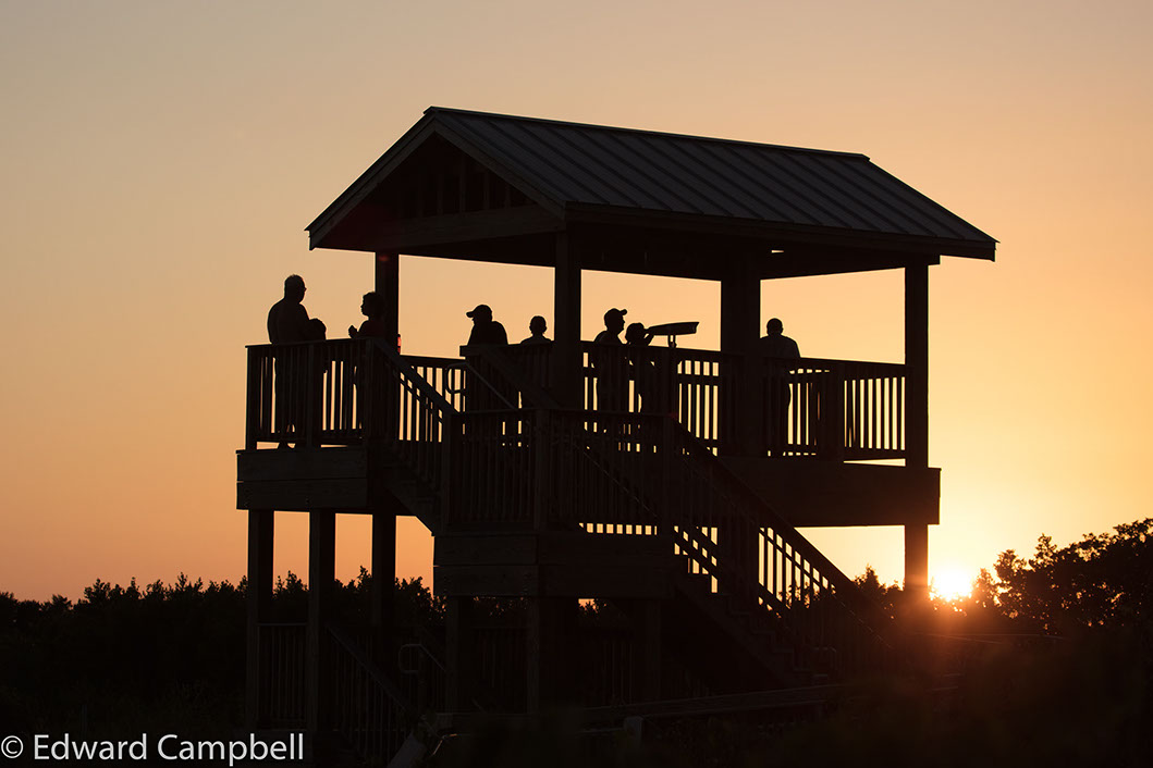 Sunset at Marco Island's Tigertail Beach, Edward Campbell Photographer, epcampbell.com 