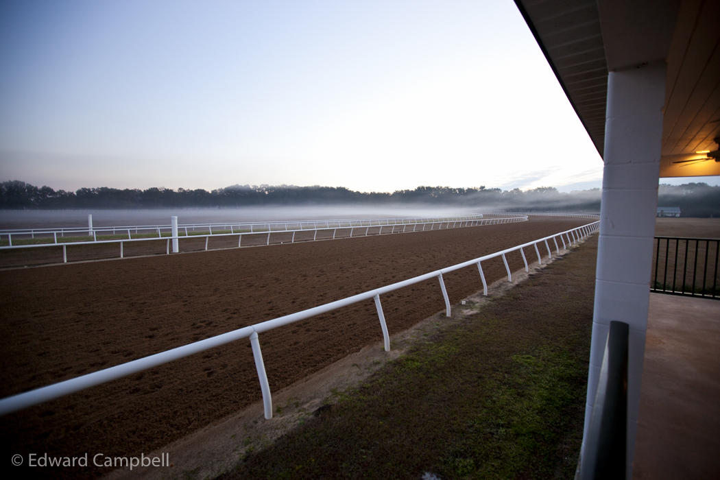Horseracing