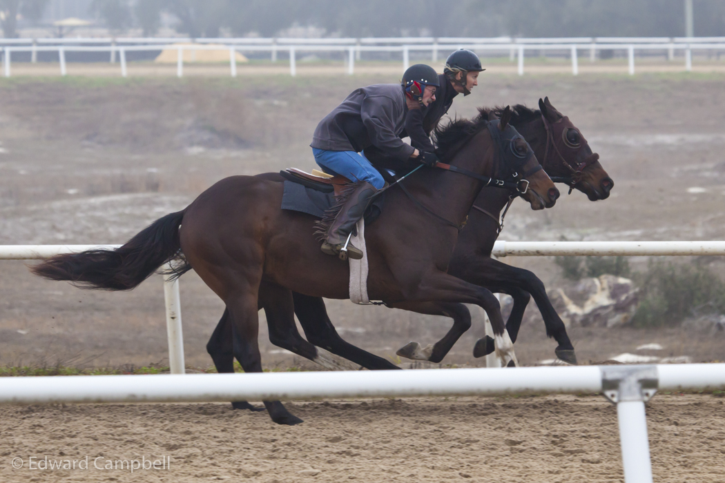 Horseracing