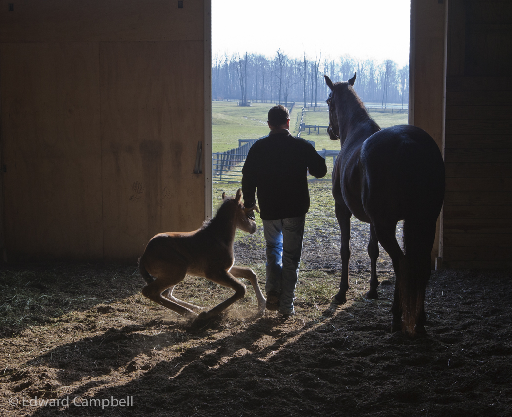 Horseracing