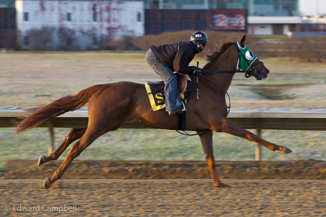 Horseracing