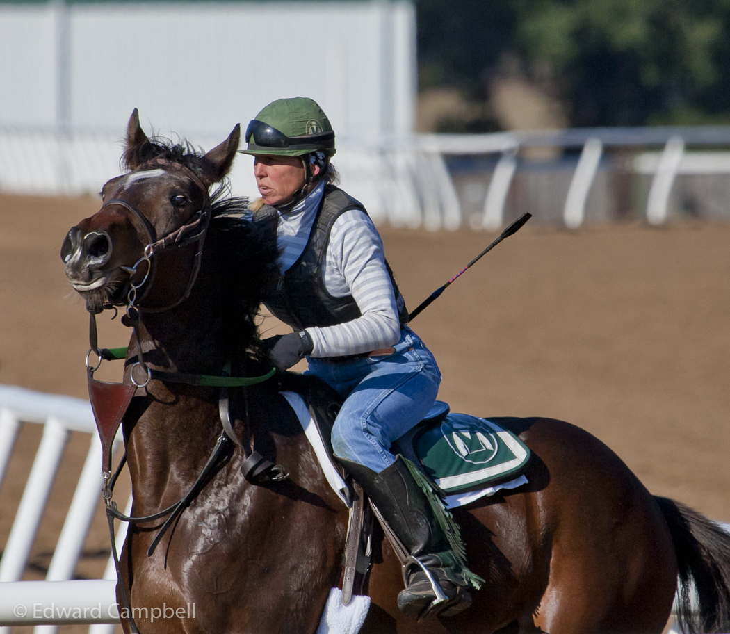 Horseracing