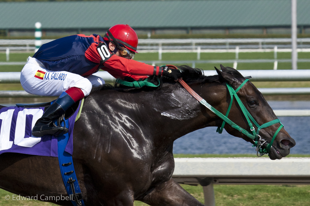 Horseracing