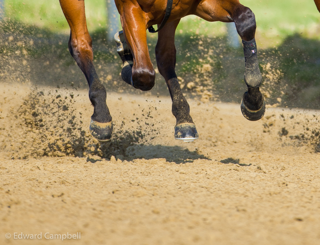 Horseracing