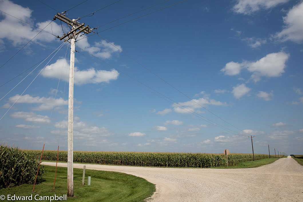 Miles of corn in Rockwell, Iowa