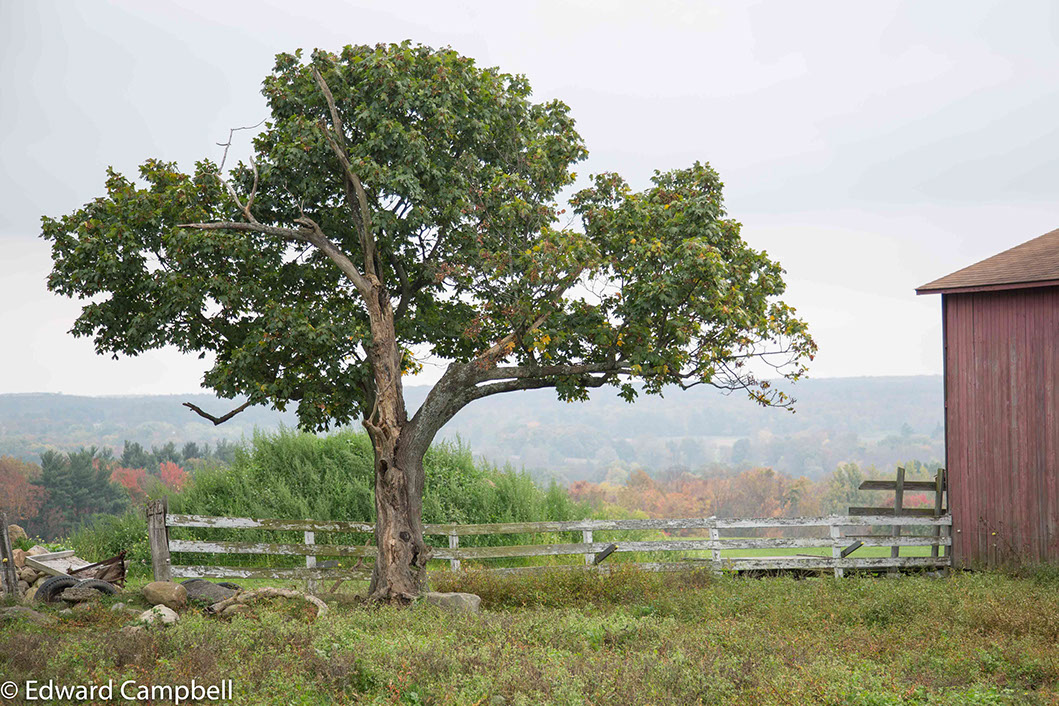 A scenic vista at Century Village Museum in Burton, Ohio