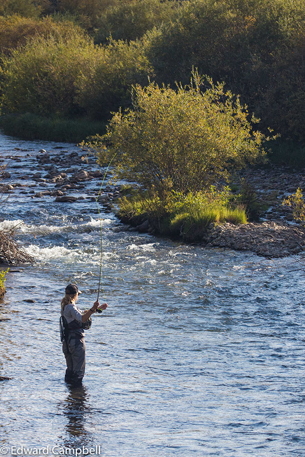 Fly fishing on the Blue River in Breckenridge, Colorado